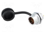 Connector: circular; socket; male; PIN: 7; IP67; SF12; 5A; 125V WEIPU