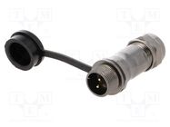 Plug; ST12; male; PIN: 2; IP67; 5÷8mm; 13A; soldering; for cable; 250V 