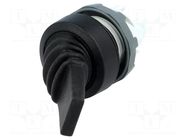 Switch: toggle; 22mm; Stabl.pos: 2; black; IP66; prominent; MTS ABB