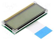 Display: LCD; alphanumeric; FSTN Positive; 16x2; 49x20.5x5.6mm DISPLAY ELEKTRONIK