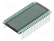 Display: LCD; 7-segment; STN Positive; No.of dig: 8; Char: 6mm DISPLAY ELEKTRONIK