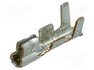 Contact; female; phosphor bronze; tinned; 0.13÷0.33mm2; PH; 2A; 2mm 