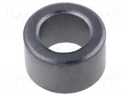 Ferrite: toroidal; L: 6.2mm; Øint: 6mm; Øout: 10mm; Core mat: K5B; 25Ω RICHCO