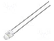 LED; white cold; 3.8mm; 2700÷7600mcd; 40°; Front: convex LITEON