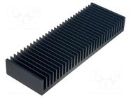 Heatsink: extruded; grilled; black; L: 100mm; W: 300mm; H: 40mm FISCHER ELEKTRONIK