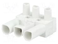 Connector: pluggable terminal block; screw terminal; female; 16A BM GROUP