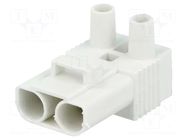 Connector: pluggable terminal block; screw terminal; female; 16A BM GROUP