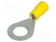 Tip: ring; M10; Ø: 10.5mm; 4÷6mm2; crimped; for cable; insulated BM GROUP