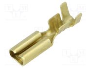 Terminal: flat; 2.8mm; 0.8mm; female; 0.5÷1.25mm2; crimped; brass BM GROUP