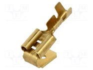 Terminal: flat; 6.3mm; 0.8mm; female/male; 0.5÷1mm2; crimped; brass BM GROUP
