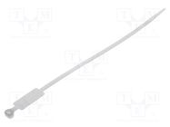 Cable tie; with label; L: 220mm; W: 4.8mm; polyamide; 220N; natural BM GROUP