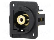 Coupler; RCA socket,both sides; FT; XLR standard; 19x24mm CLIFF