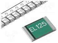 Fuse: PTC polymer; 1.25A; 2920 