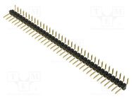 Pin header; pin strips; male; PIN: 36; angled 90°; 2.54mm; THT; 1x36 FISCHER ELEKTRONIK