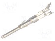 Contact; male; 1.6mm; silver plated; 1.5÷2.5mm2; 16AWG÷14AWG; bulk AMPHENOL