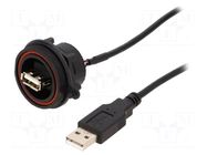 Cable; USB Buccaneer; USB A socket-front,USB A plug; 0.5m; IP68 BULGIN