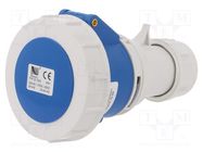 Connector: AC supply; plug; female; 32A; 400VAC; IEC 60309; IP67 PAWBOL