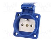 Connector: AC supply; socket; 2P+PE; 250VAC; 16A; blue; PIN: 3; IP67 PAWBOL