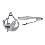 Dogness walking set leash 1,5m+harness for dog (light gray), Dogness