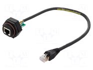 Adapter; 0.305m; RJ-Lnxx; PIN: 8; Cat: 10Base-T; 8p8c; IP67 MOLEX