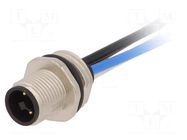 Connector: M12; socket; PIN: 4; male; T code-Power; cables; IP67 LAPP