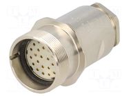 Connector: M27; plug; PIN: 26; female; IP67; ZYLIN; soldering; 1mm2 LAPP