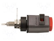Laboratory clamp; red; 70VDC; 16A; screw,spring clamp; nickel SCHÜTZINGER