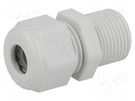 Cable gland; with long thread; PG11; IP68; polyamide; light grey HUMMEL