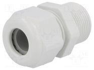 Cable gland; with long thread; PG16; IP68; polyamide; light grey HUMMEL