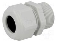 Cable gland; with long thread; PG21; IP68; polyamide; light grey HUMMEL