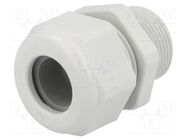 Cable gland; with long thread; M25; 1.5; IP68; polyamide; UL94V-0 HUMMEL