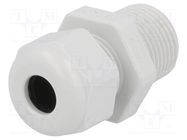 Cable gland; NPT3/8"; IP68; polyamide; light grey; UL94V-0; HSK-K HUMMEL