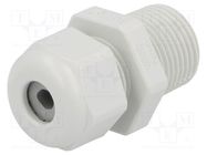 Cable gland; NPT3/8"; IP68; polyamide; light grey; UL94V-0; HSK-K HUMMEL