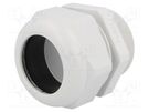 Cable gland; with long thread; M50; 1.5; IP68; polyamide; UL94V-0 HUMMEL