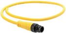 CORDSET, MALE, M12, 5 POSITION, 22AWG, 2M