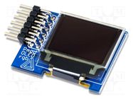Pmod module; prototype board; Comp: SSD1331,UG-9664HDDAG01; OLED DIGILENT