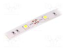 LED tape; white cold; 5050; 12V; LED/m: 30; 14.36mm; IP65; 120° LUCKYLIGHT