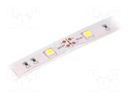 LED tape; white cold; 5050; LED/m: 30; 14.36mm; IP65; 120°; 7.2W/m LUCKYLIGHT