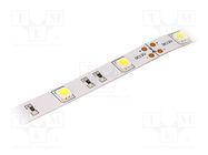 LED tape; white cold; 5050; 12V; LED/m: 30; 14.36mm; IP20; 120° LUCKYLIGHT