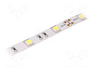 LED tape; white cold; 5050; LED/m: 30; 14.36mm; IP20; 120°; 7.2W/m LUCKYLIGHT