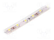 LED tape; white warm; 3528; 12V; LED/m: 60; 10mm; IP65; 120°; 4.8W/m LUCKYLIGHT