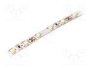 LED tape; white cold; 3528; 12V; LED/m: 60; 8mm; IP20; 120°; 4.8W/m LUCKYLIGHT