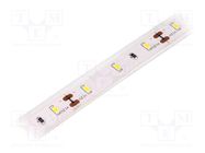 LED tape; white warm; 3014; 12V; LED/m: 60; 10mm; IP65; 120°; 6W/m LUCKYLIGHT