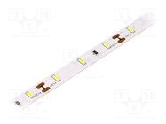 LED tape; white warm; 3014; LED/m: 60; 8mm; IP20; 120°; 6W/m; 12VDC LUCKYLIGHT