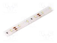 LED tape; white cold; 3014; 12V; LED/m: 60; 10mm; IP68; 120°; 6W/m LUCKYLIGHT