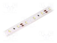 LED tape; white cold; 3014; 12V; LED/m: 60; 10mm; IP65; 120°; 6W/m LUCKYLIGHT