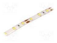 LED tape; white warm; 2835; 12V; LED/m: 60; 8mm; IP54; 120°; 12W/m LUCKYLIGHT