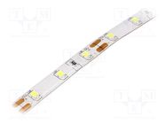 LED tape; white cold; 2835; 12V; LED/m: 60; 8mm; IP54; 120°; 12W/m LUCKYLIGHT