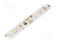 LED tape; white warm; 3528; LED/m: 120; 12mm; IP20; 120°; 9.6W/m Ledxon