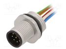 Socket; M12; PIN: 8; male; A code-DeviceNet / CANopen; cables; IP68 IFM ELECTRONIC